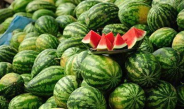 长春最新吃瓜事件爆料新闻,揭秘幕后真相，网络热议事件全解析